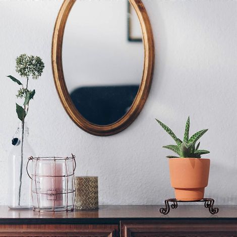 Support à bonsaï sur pied en métal, compatible avec 1 plante (1/4)