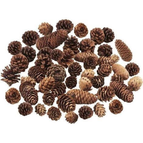 Pommes de Pin de Noël,Pommes de Pin Naturelles - Grande Taille Moyenne et Mini Pommes de Pin Decorative pour la Table Cadeaux d'Artisanat d'arbre de Noël Halloween Noël Décoration d'Intérieur (1/5)