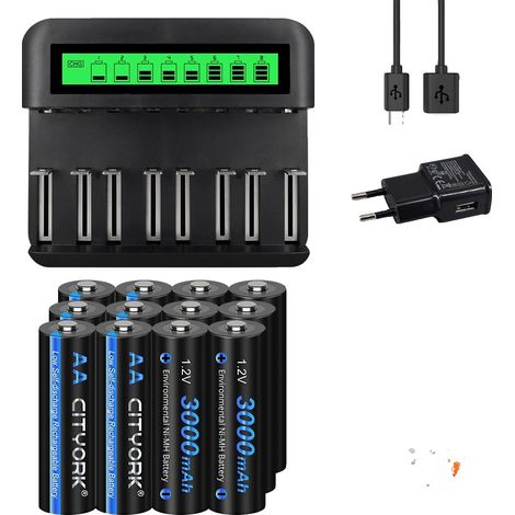 Batteries Rechargeables, NiMH, Chargeur Inclus, 12AA et chargeur (1/2)