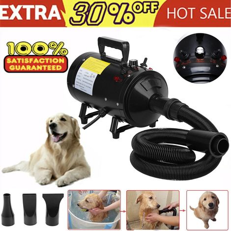 Moto Sécheur d'Air 2800W Avec 4 Nozzels Animaux Souffleur 35-65℃