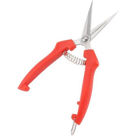Stainless Steel Fruit Scissors for Harvesting Grapes Lemons and Peppers with Pointed Nose and Teeth 7 Inch (1/2)