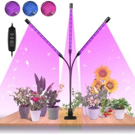 Lampe horticole ALOVZE 30W Tasmor, lampe d'intérieur avec 60 LED à 360°, avec minuterie (1/4)