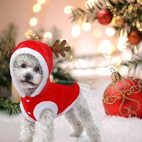 Costumes de Noël pour chiens, costumes de Père Noël, costumes mignons de renne pour chiens (1/4)