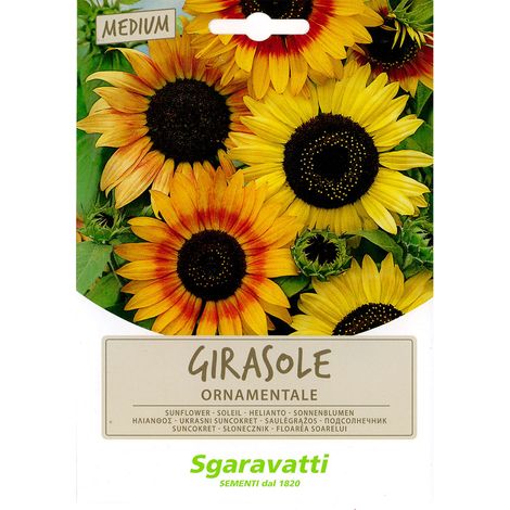 SEMI PER PRATO UNIVERSALE girasole ornamentale Q.TA 20 girasole ornamentale