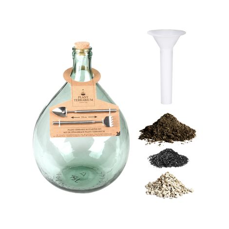 Kit Inizio Terrarium in Bottiglia 15L Vetro Trasparente