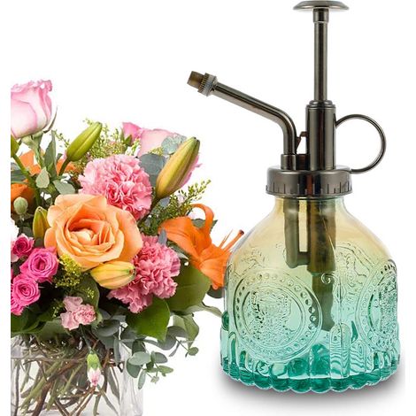 Vaporisateur D'arrosage en Verre, Arrosoir Vaporisateur Vintage,Pulvérisateur Plantes, Arrosoir à Une pour Fleurs Succulentes Herbes Plantes Maison Jardin (1/5)