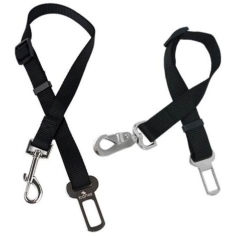 Ibañez Dogway ceinture de sécurité BELT 2x45-70 cm (1/5)