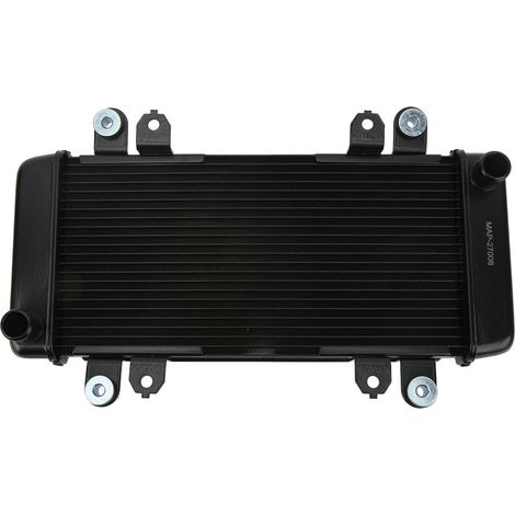 Aluminium-Motorradkühler-Kühlwasser (1/5)