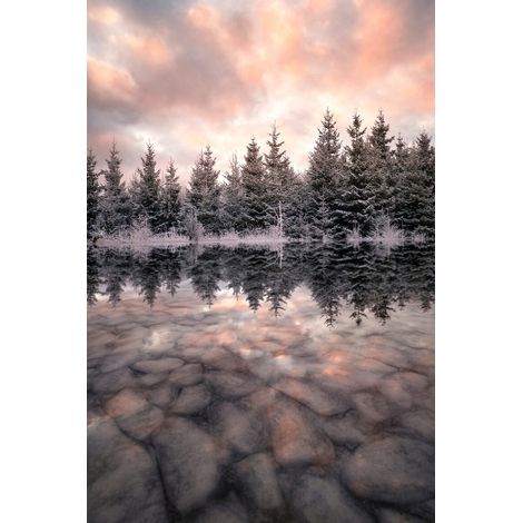 Tableau sur toile beaute enchantée 30x45 cm - Impression sur Toile Murale Décorative - Image imprimée en HD sur Toile - Toile sur Châssis en Bois FSC - Fabriqué en France (1/5)