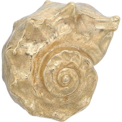 Poignée de porte en laiton vieilli, motif ammonite antique (1/5)