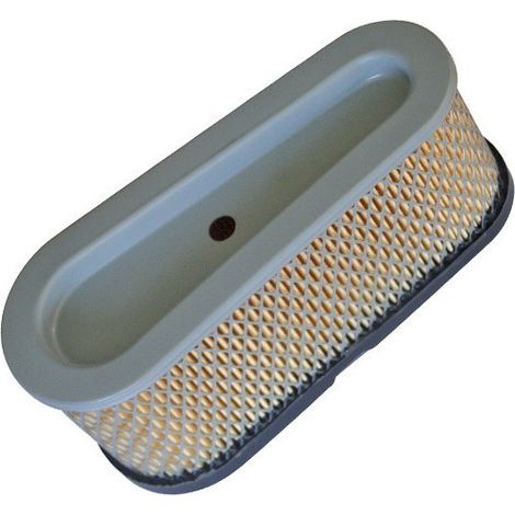 Luftfilter Briggs und Stratton 496894S