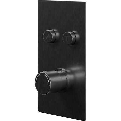 Colore Round Gunmetal Grey Concealed Push Button Shower Valve - 2 Outlet (1/5)
