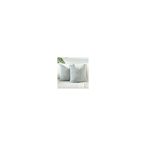 Housses de Coussins en Velours Côtelé Décoratif Canapé Taie d'oreiller Doux Decoration pour Maison Salon Chambre Canapé Décoration 45x45cm Lot de 2 (1/5)