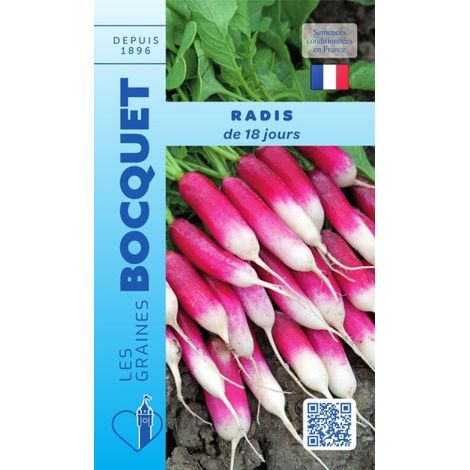Radis de 18 jours - 10g