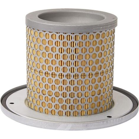Filtro aire interior DONALDSON P783501 (1/2)