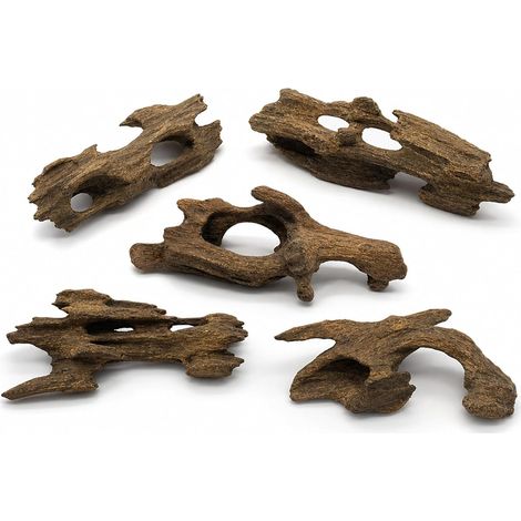 Lot de 5 décorations en bois flotté, racines naturelles pour aquariums et terrariums, formes aléatoires de 5 à 10 cm, convient pour les caches de poissons et la création de mousse (1/5)