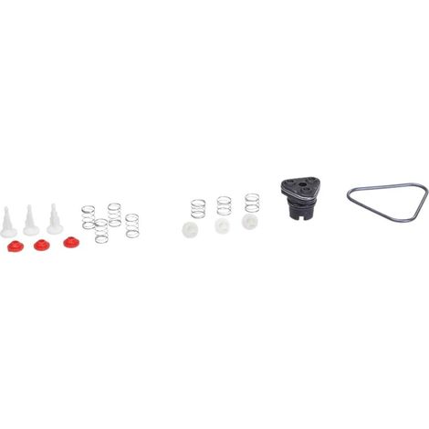 KIT DE PIÈCES DE RECHANGE SOUPAPES POUR NETTOYEUR HAUTE-PRESSION KARCHER - 4.100-830.0