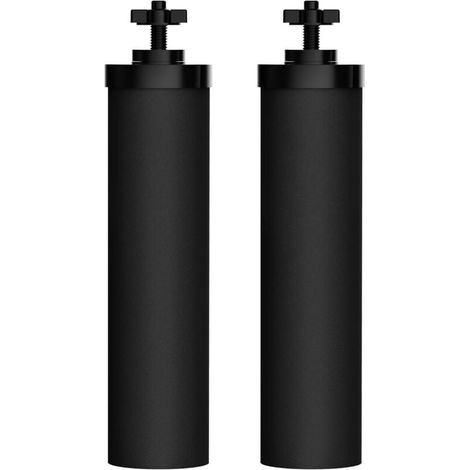 BB9-2 Ersatzfilterelemente für BB9-2 Black, Doulton Super Sterasyl und Propur Traveller, Nomad, King, Big Series Filterelemente (2er-Pack) (1/4)