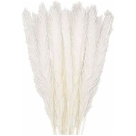 30 pcs Herbe de la Pampa, 58 cm Naturel Pampa Fleur Bouquet de Fleurs Sechees pour Vases, Blanc Boho Decoration Chambre Maison Salon, Mariage Photographier Table Décoration (1/5)