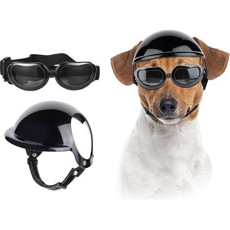 Casque et lunettes pour chien, chapeau de sport pour animaux de petite et moyenne taille avec protection UV, lunettes de soleil (1/5)