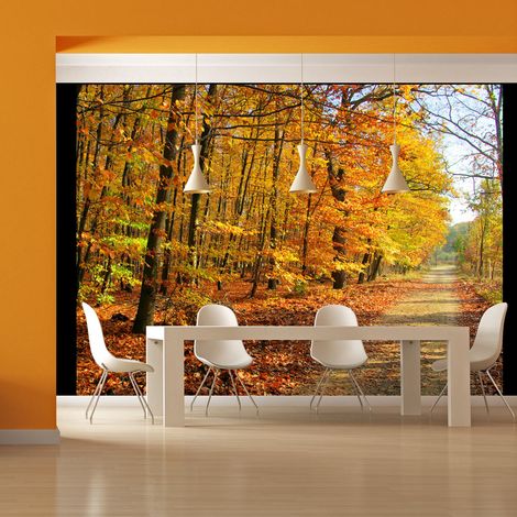 Fotomurale - Beech forest - 250x193 (1/4)