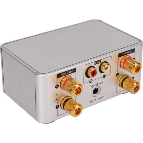 Amplificateur Audio Stéréo Portable 5.0 Bluetooth Argent Mini Haute Fidélité (1/5)