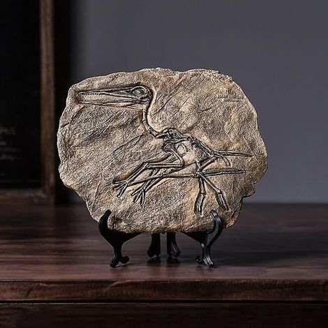 Ornements de fossiles de dinosaures : Modèle réaliste de vélociraptor en résine pour la maison, le salon, l’entrée (1/5)