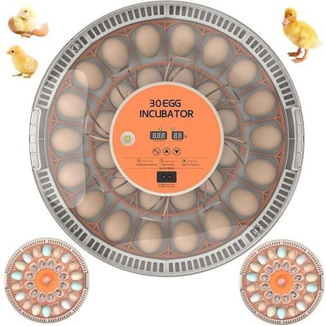 ZVD-Incubateur pour 30 œufs, vue à 360°, avec retournement automatique des œufs, contrôle de la température, mirage des œufs par LED, affichage de l'humidité, pour débutants, fermes, enseignement et m