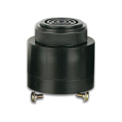 Nicht polarisierter Summer ac/dc 220v Schraubanschluss