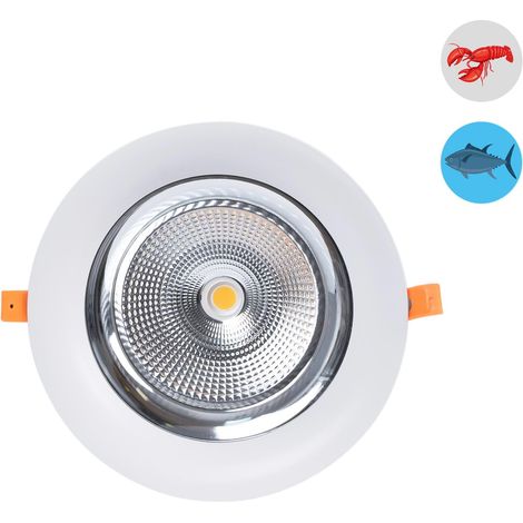 Downlight LED speciale per pescherie - 40W - Driver Philips -