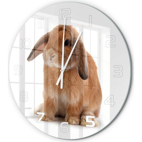 Horloge Murale Ronde Originale Verre Trempé Décoration Maison Moderne Lapin rouge fi 60 cm (1/5)