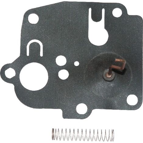Membrane BRIGGS ET STRATTON 391681