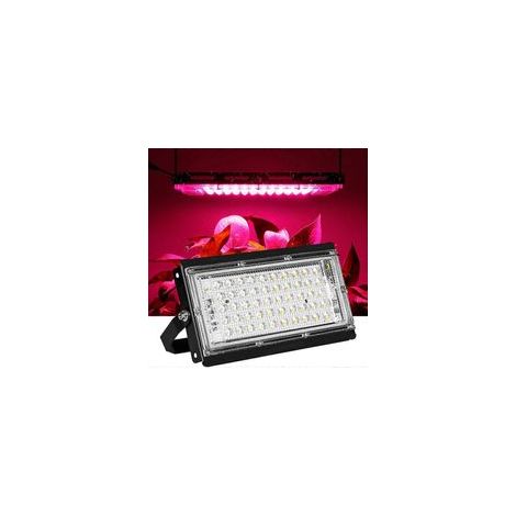 Lampada LED a spettro completo da 50W per coltivazione, faretto per piante, lampada per serra - Crezuo