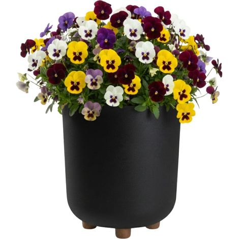 TERRA Blumentopf auf Füßen, recycelt, schwarz, H 27,4 x 24,2 cm