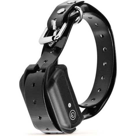 Collier de dressage électrique pour chiens, collier de choc électronique rechargeable et étanche IP68 avec modes de correction de choc statique tonal Système de Clôture Électronique sans Fil (1/4)