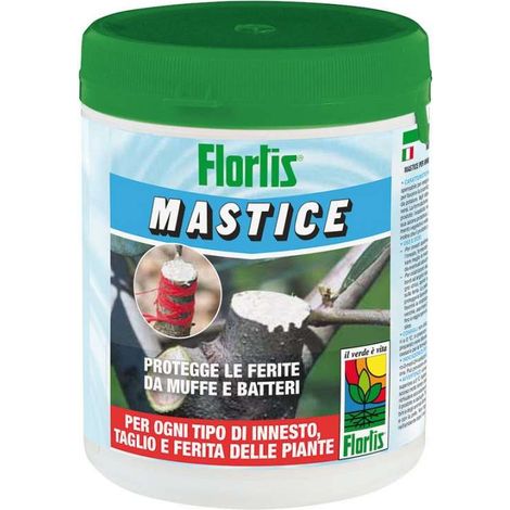 Mastmix Mastice Cicatrizzante 500g