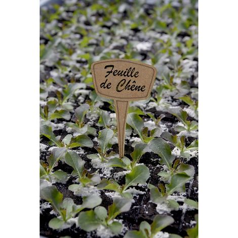 PACK 10 ETIQUETAS FIBRA DE MISCANTHUS LABEL FIB 15 CM NORTENE (1/2)