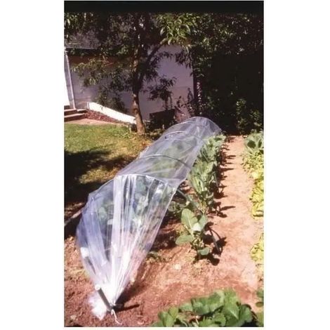Nortene Climafilm film di forzatura trasparente 2x5 m