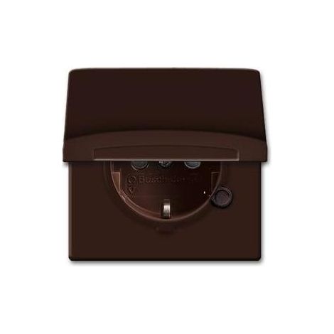 Busch-Jaeger Schuko-Steckdoseneinsatz IP44 braun 20 EUGKB-31-101 (1/5)