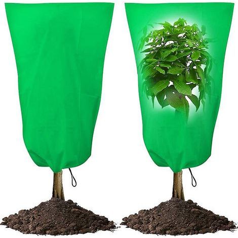 2pack(120 X 180 Cm)vert Housse D'hivernage Housse De Protection Pour Plantes Utiliser En Hiver (1/5)