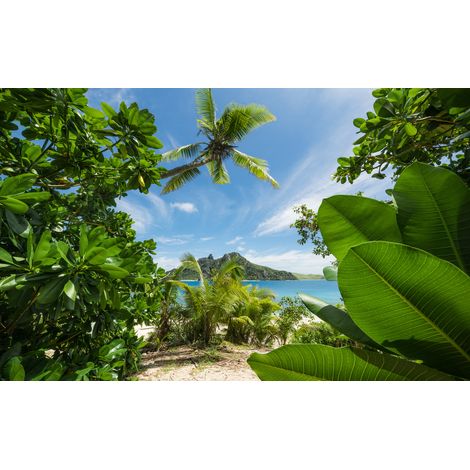 Papier peint panoramique naturel Jungle Échouée (1/4)