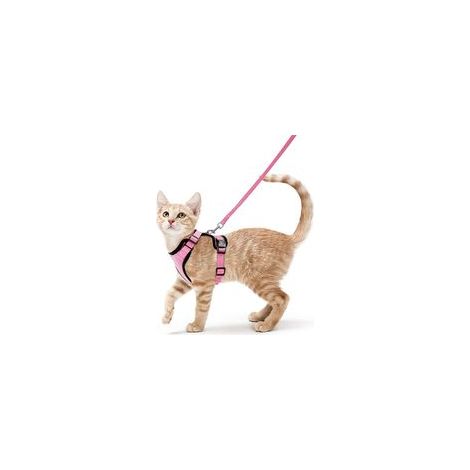 Harnais avec laisse pour chats, Harnais et laisse pour chats, Harnais réglable pour chatons, Collier harnais pour chats, Gilet respirant, Pour chat européen, chat persan (Rose, XS)