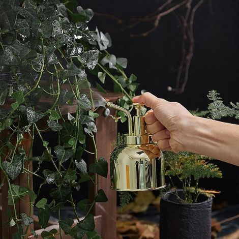 Arrosoir en laiton - Arrosoir en laiton de style vintage Arrosoir à une main pour plantes d'intérieur pour jardins, plantes, ne (1/3)