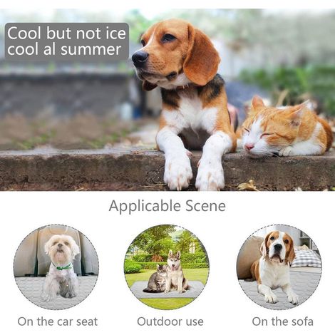 Kühlmatte für Hunde, selbstkühlende Matte für Katzen und Hunde im Sommer, strapazierfähige Kühlmatte für Haustiere, Zubehör für Haustier-Schlafmatten, geeignet für Katzen und Hunde zu Hause und unterw (1/5)