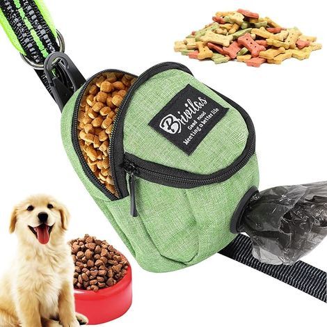 Multifunctional dog waste bag holder with treat bag, ideal for walks with your dog (green) - AquaForge (1/5)