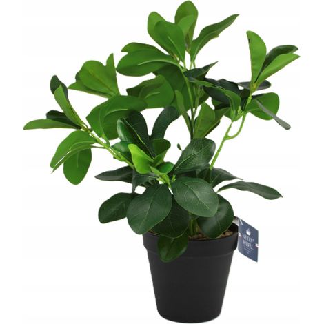 Planta artificial de ficus en maceta - decoración de interiores (1/5)