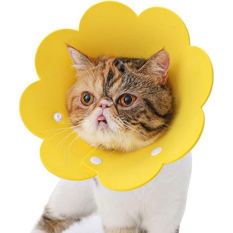 Collier pour animaux de compagnie collier anti-léchage collier de protection collier chat élisabéthain (jaune, L) (1/5)