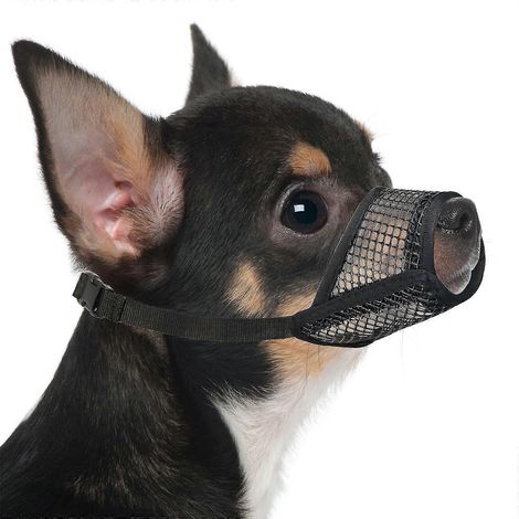 Filiyano-Muselière respirante en maille douce pour chiens, ajustable pour chiens de petite et moyenne taille - Chihuahua, Caniche, Husky (Labrador) (1/5)
