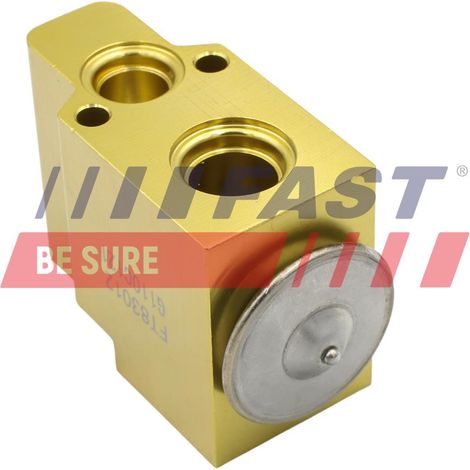 Valve de climatisation rapide FT83012 (1/2)