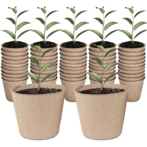 50 Peat Fiber Pots for Seed Starting and Gardening (1/4)